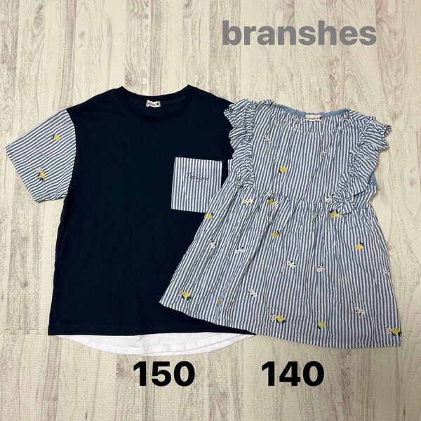 branshes ブランシェス 半袖Tシャツ ブラウス チュニック トップス ペア お揃い 兄妹 リンクコーデ 140 150