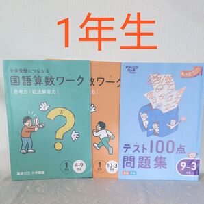 進研ゼミ小学講座 国語算数ワーク テスト100点問題集 3冊セット 未使用