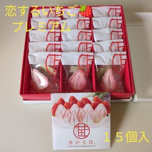 恋するいちごプレミアムシリーズ 15個入りいちご(栃木県産とちおとめ)送料込み