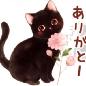 専用になります。キャベツ人参などお野菜詰め合わせ