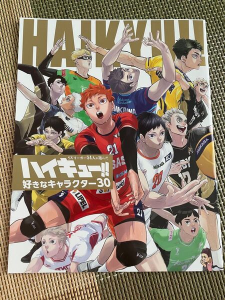 ハイキュー ビジュアルブック Sportiva バレーボール 特集号 Vol.3 スポルティーバ