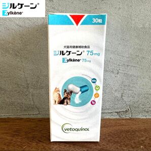 ジルケーン 75mg 1個