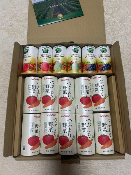 国産プレミアムセットA(つぶより野菜 195g×10本、野菜生活100国産プレミアム 125ml×6本)