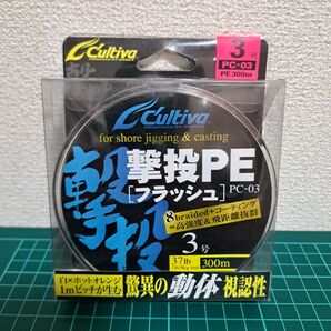 カルティバ 撃投PE 3号300m