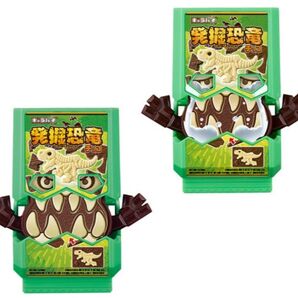 SGライダーゴチゾウ02&03 キャラパキゴチゾウセット