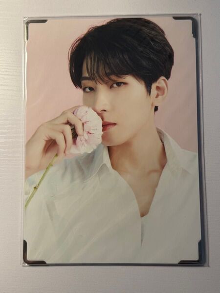 SEVENTEEN CAFE in seoul ウォヌ プレミアムフォト