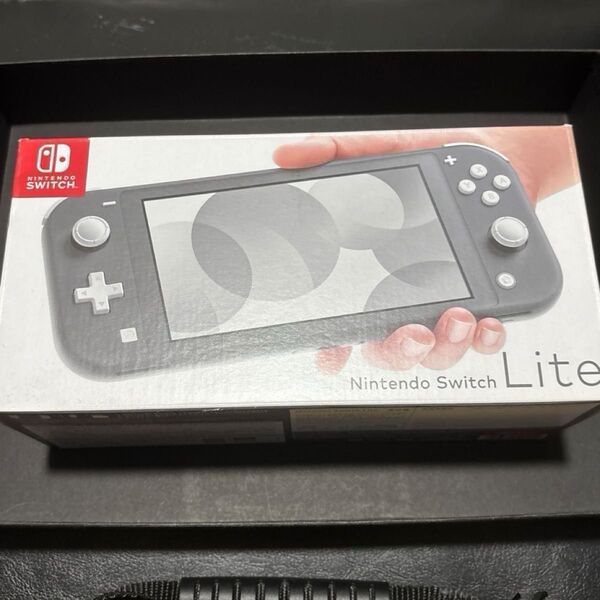 箱あり 美品 Nintendo Switch Lite グレー 中古 カバー ケース 保護シート(装着済み) のおまけ付き