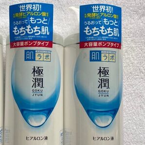 極潤ヒアルロン液 ポンプ 400ml ×2本 2023年4月購入