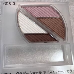 ◆ 未使用 資生堂 ピエヌ グラデーショナル アイズ(ヴェールカラー)GD813 ◆B-2846