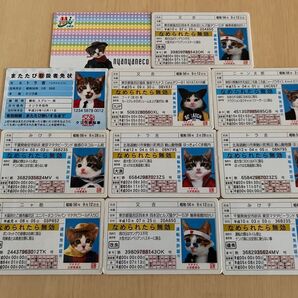 なめんなよ なめねこ カード 20枚 免許証