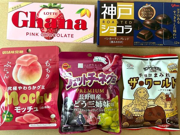 お菓子詰め合わせE5 ガーナピンク 神戸ローストショコラ ちょこまみれザワールド フェットチーネグミぶどう三姉妹 モッチュ白桃