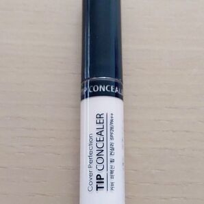 the SAEM カバーパーフェクションチップコンシーラー