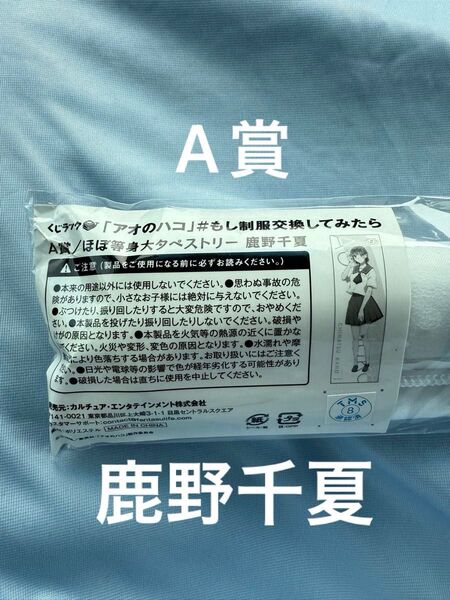 アオのハコ くじラック A賞 鹿野千夏 ほぼ等身大 タペストリー 未開封 未使用