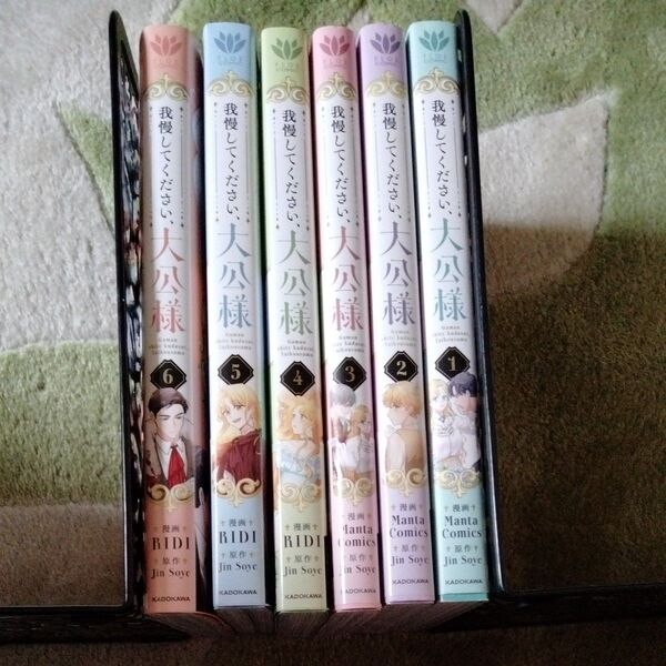 女性漫画 我慢してください大公様1〜6巻 RIDI 2個口発送 即購入不可 バラ売り不可