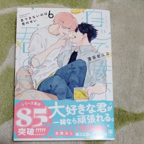 BL漫画 息できないのは君のせい6 澄谷ゼニコ 8月25日までの出品