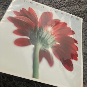 片想い/涙の正体 SUPER BEAVER メガジャケのみ