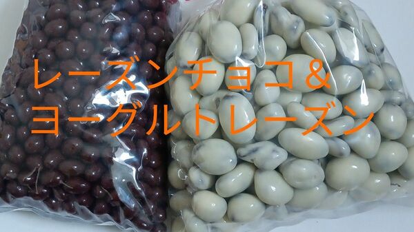 レーズンチョコ(ミルク&ヨーグルト) 大人気 工場 直売 組み合わせ アウトレット