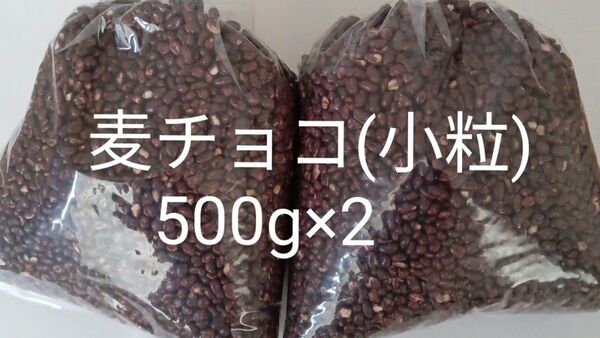 麦チョコ小粒500g×2 アウトレット 訳あり 工場直売 チョコ 大人気