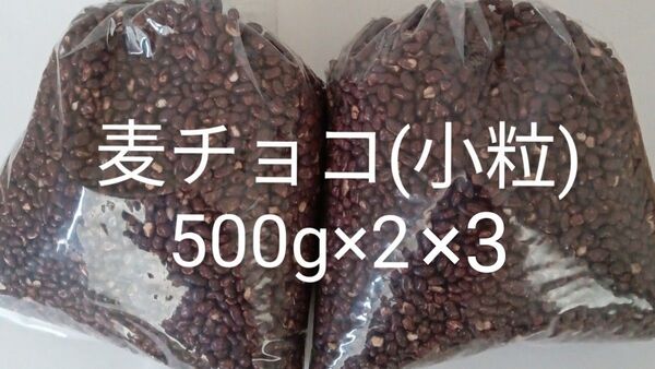 麦チョコ小粒500g×6 アウトレット 訳あり 工場直売 チョコ 大人気