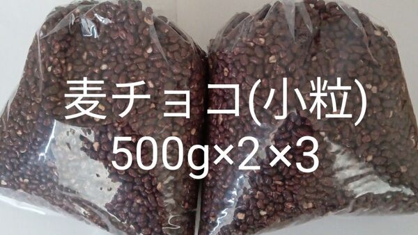 麦チョコ小粒500g×6 アウトレット 訳あり 工場直売 チョコ 大人気