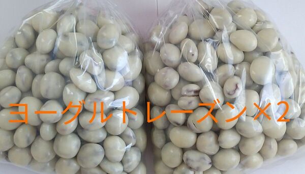 ヨーグルトレーズン(60)500g×2 訳ありアウトレットチョコ 工場 直売 大人気