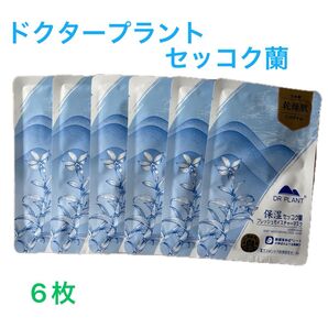 DR PLANT 保湿セッコク蘭 フレッシュモイスチャーマスク 6枚セット