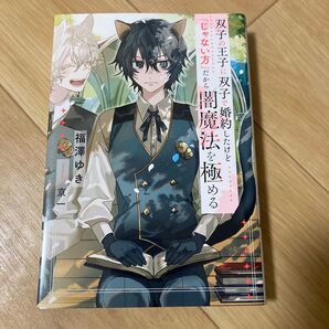 BL 小説 ノベル
