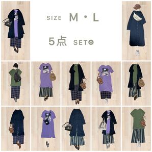 柄パンツコーデ 5点セット まとめ売り レディース服