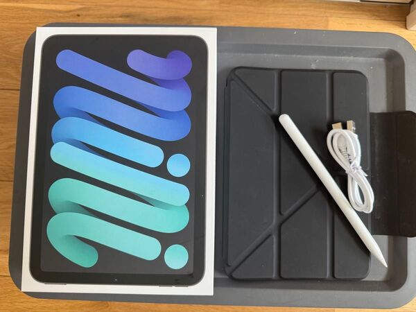美品 iPad mini Wi-Fi 128GB A17(第7世代) スペースグレイ