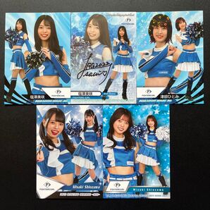 2022 BBM チアリーダー舞 ファイターズガール 塩澤美咲 直筆サインカード、22,23,24 レギュラーカード、ホロPP1枚
