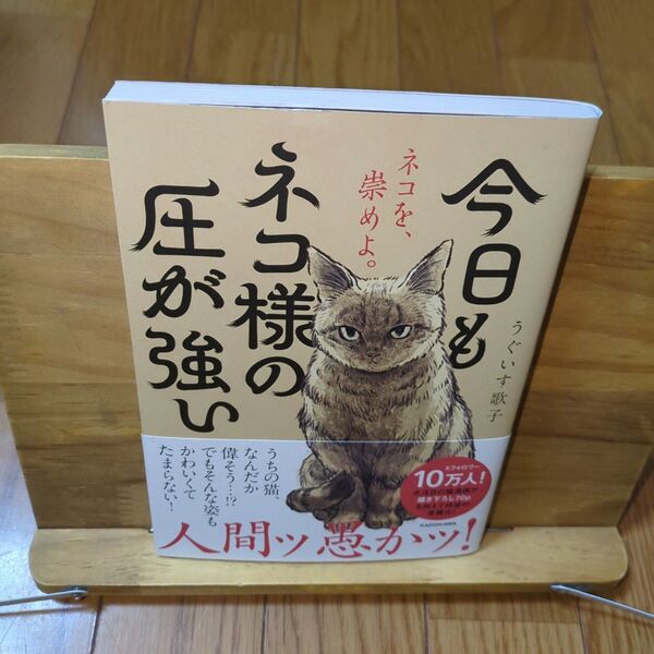 今日もネコ様の圧が強い