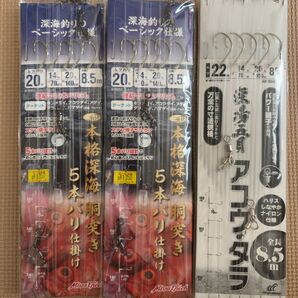 深海釣り仕掛け 胴突き3点セット ミヤエポック ハヤブサ 8.5m