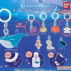 うみのいきもの2 ガチャ ウミウシ クラゲ
