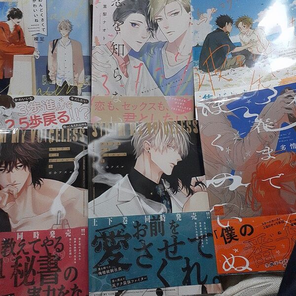 お値下げ以外でしたら気後れせず質問お願いいたします! 商業 BL 新刊 6冊セット