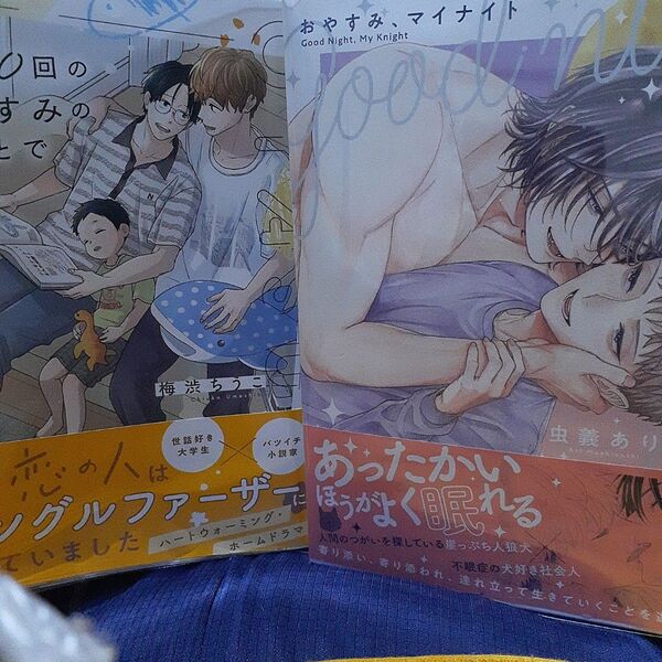 値下げ以外でしたら気後れせず質問お願いいたします! 商業 BL 新刊 5000回のおやすみのあと おやすみ、マイナイト