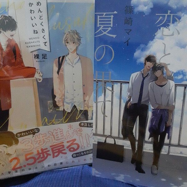 お値下げ交渉以外でしたら気後れせず質問可能!商業 BL 新刊含 めんどくさくてかわいいね 組み換え可能