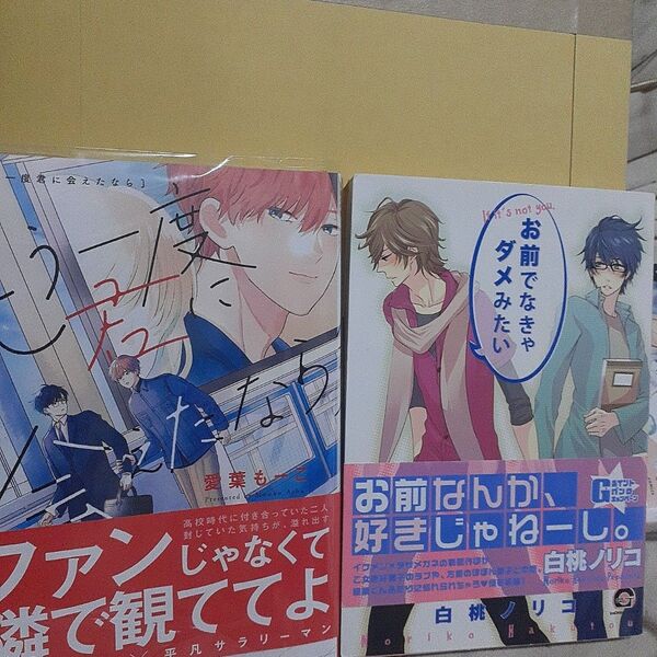 お値下げ交渉以外でしたら気後れせず質問可能!商業 BL 新刊含 もう一度君に会えたなら