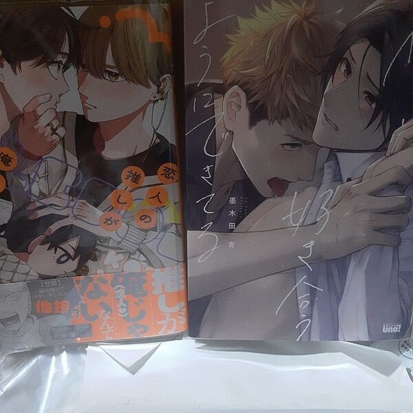 お値下げ交渉以外でしたら気後れせず質問可能!商業 BL 新刊含 組み換え可能 恋人の推しが俺じゃない!