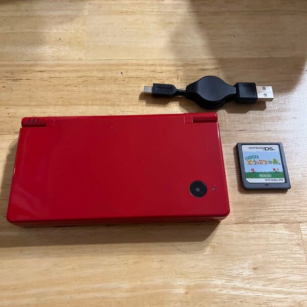 ニンテンドーDSi本体 ソフト 充電ケーブル付き