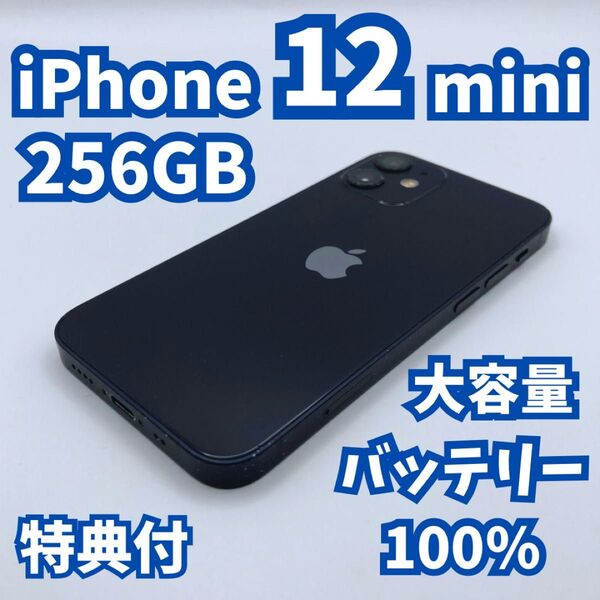 【良品】iPhone 12 mini 256GB 大容量新品バッテリー100% SIMフリー