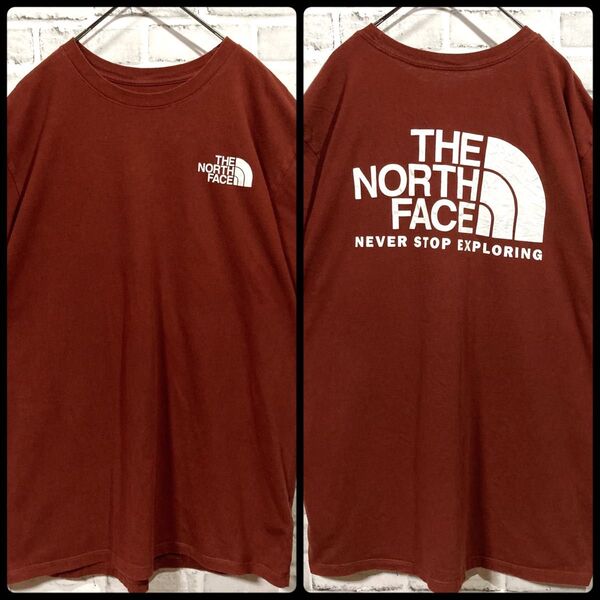 1593 THE NORTH FACE ノースフェイス Tシャツ 茶色 XL相当