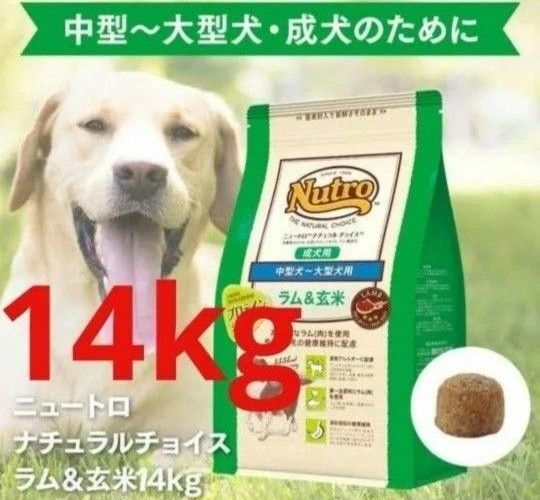 ニュートロナチュラルチョイス ラム&玄米 中型犬 大型犬 成犬用 14kg