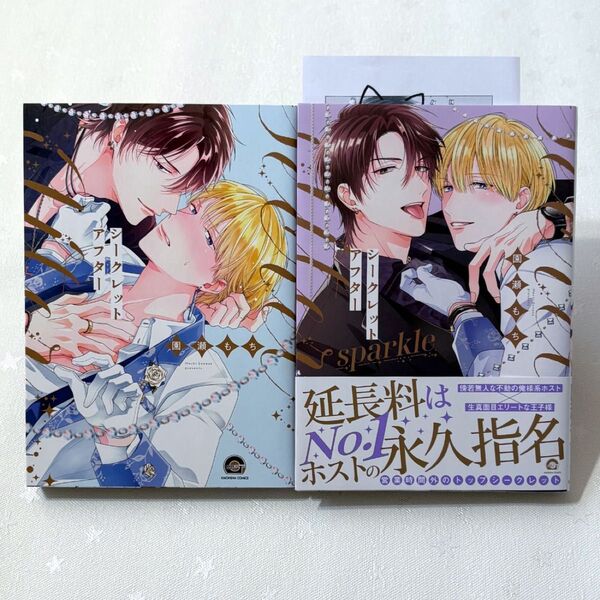 シークレットアフター sparkle ミニペーパー1枚付き 園瀬もち 2冊セット blコミック まとめ売り