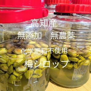 梅シロップ 無添加 無農薬 化学肥料不使用 600ml