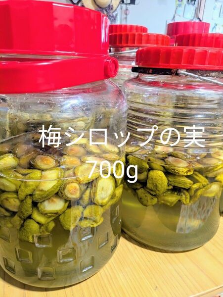 梅シロップの実 カリカリ梅 無添加 無農薬 化学肥料不使用