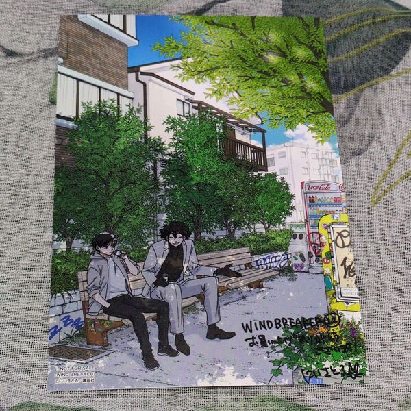 WIND BREAKER 22巻 特典 イラストカード 桜遥 堂哉真斗