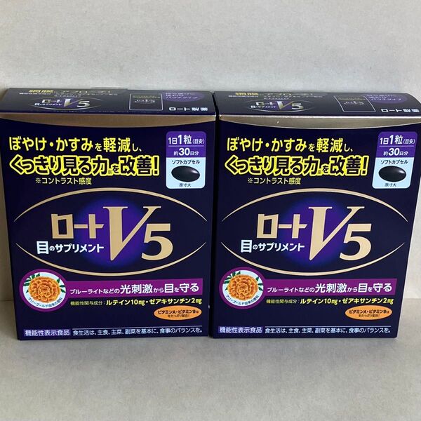 ロートV5粒 30日分×2