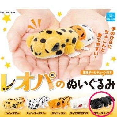 レオパのぬいぐるみ ブラックナイト