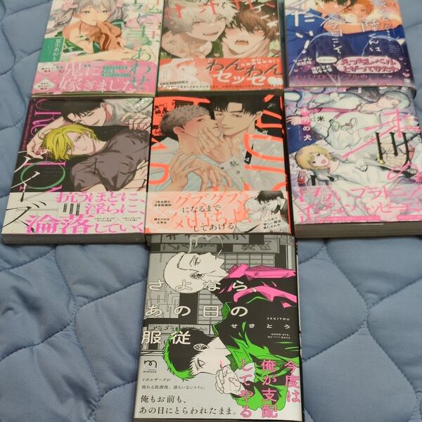 新刊BL漫画2冊1070円