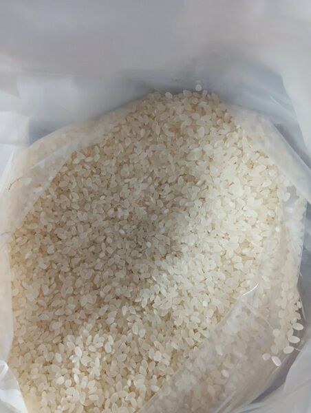 長野県産コシヒカリ10合